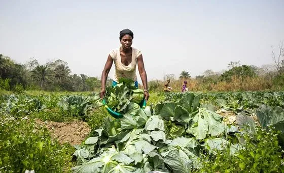 Brasileiras e angolana entre as 100 mulheres que transformam agricultura