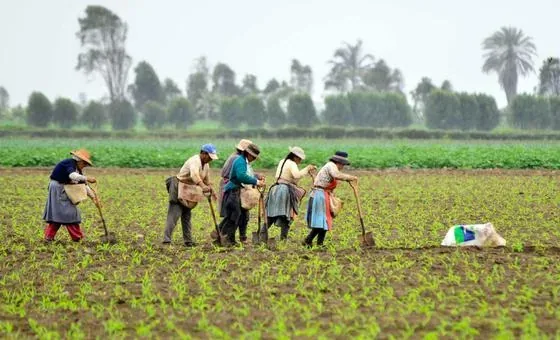 El Niño pode lançar 4,8 milhões na pobreza na América Latina e no Caribe